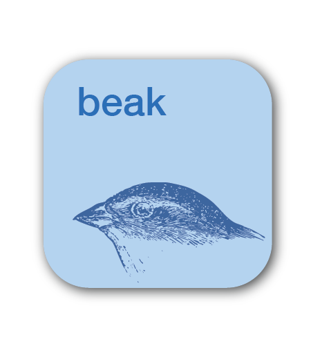 beak