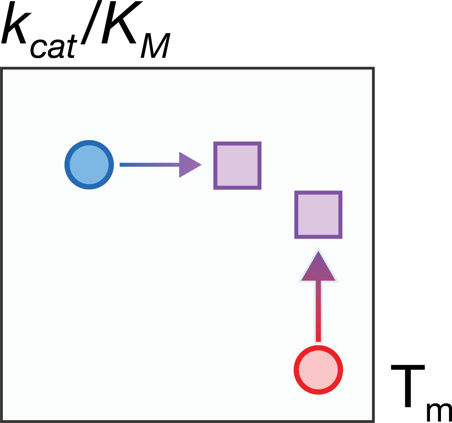 designing-active-thermostable.png